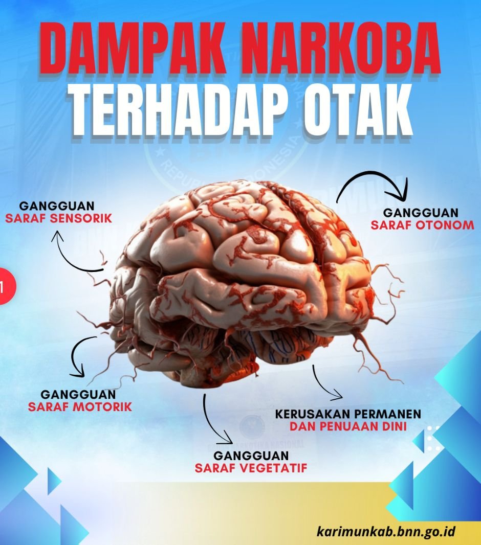 Dampak Narkoba Pada Otak